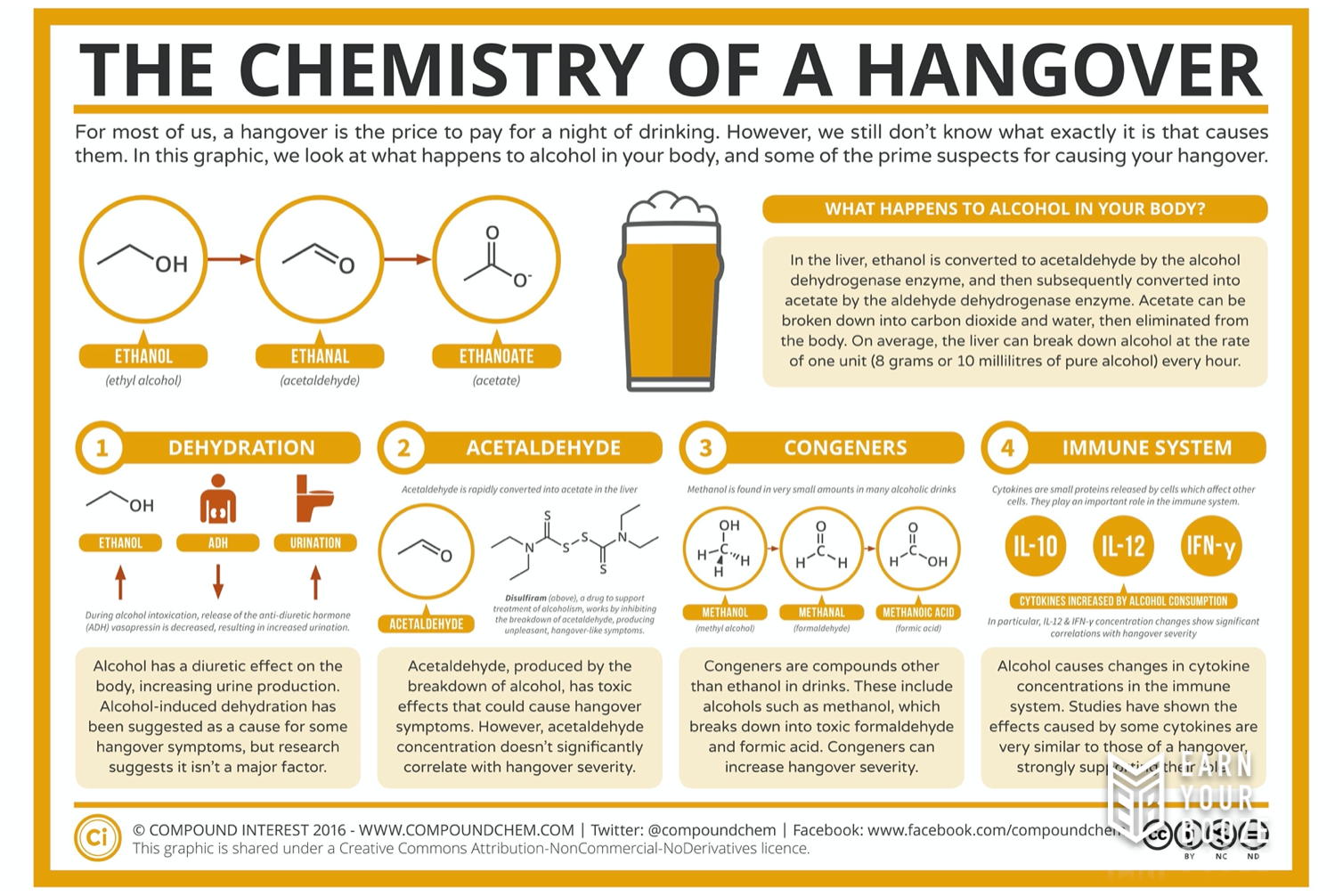 THE CHEMISTRY OF A HANGOVER (how to avoid them)