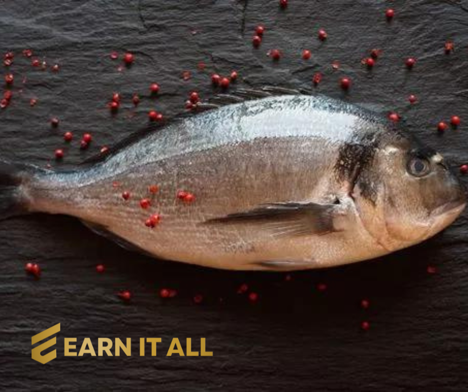 Understanding Fish Quality