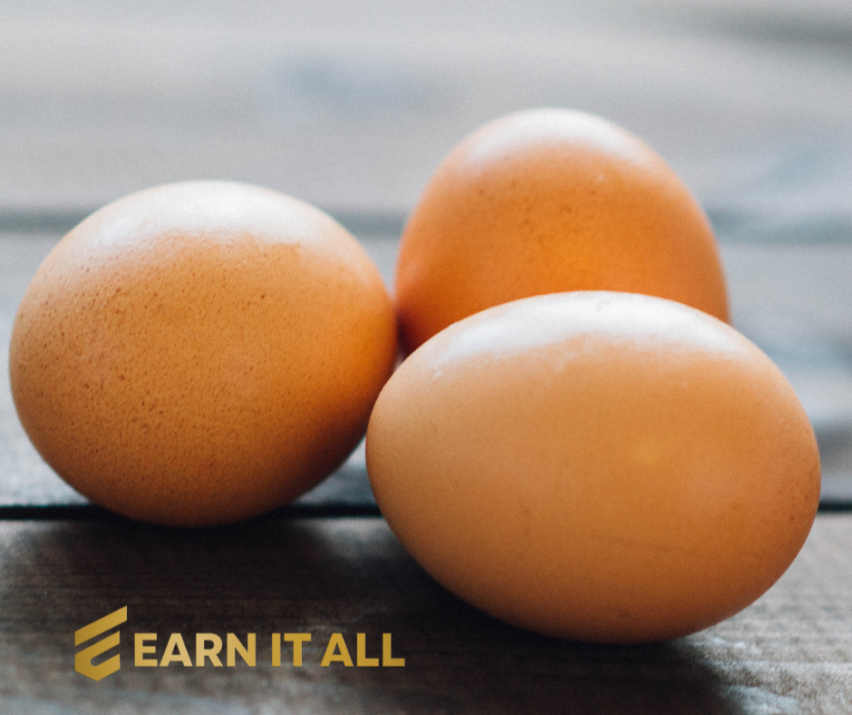 Understanding Egg Quality